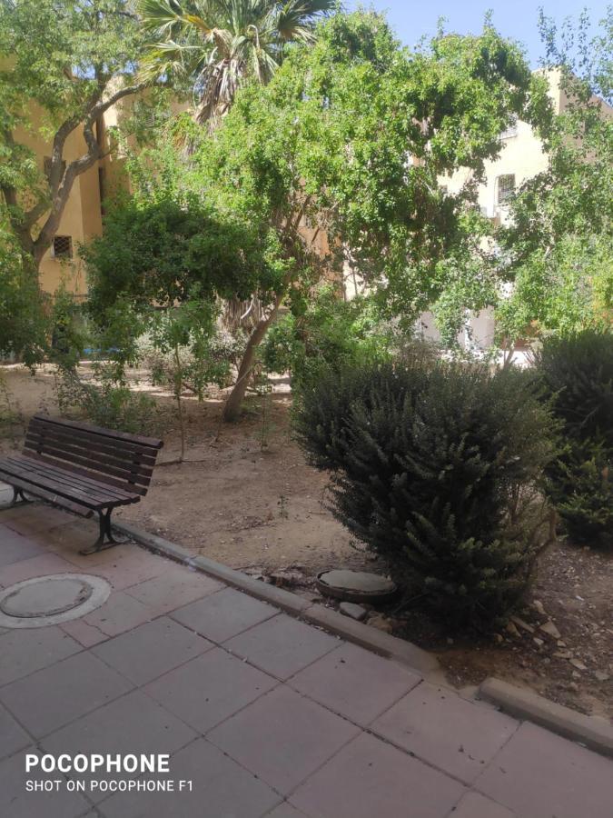 Apartament סוויטה של אלון Arad Zewnętrze zdjęcie