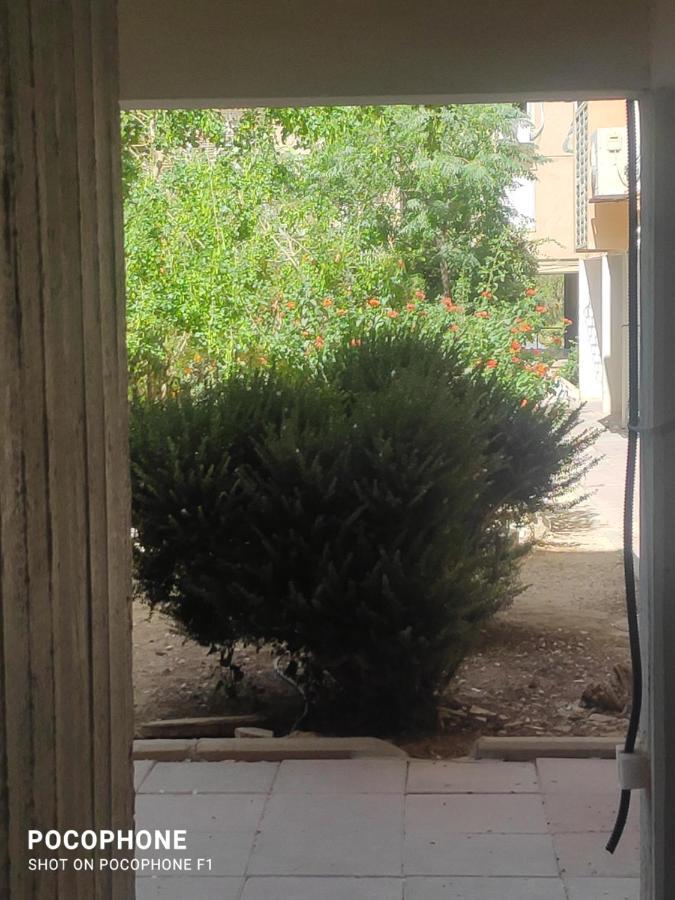 Apartament סוויטה של אלון Arad Zewnętrze zdjęcie